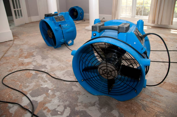  Anadarko, OK Water damage restoration Pros