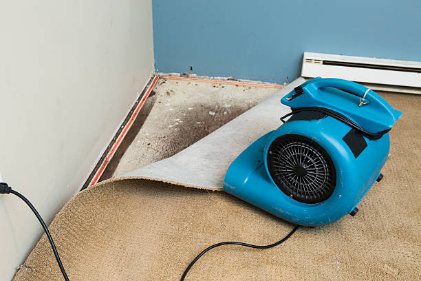 Reliable Anadarko, OK Water damage restoration Solutions